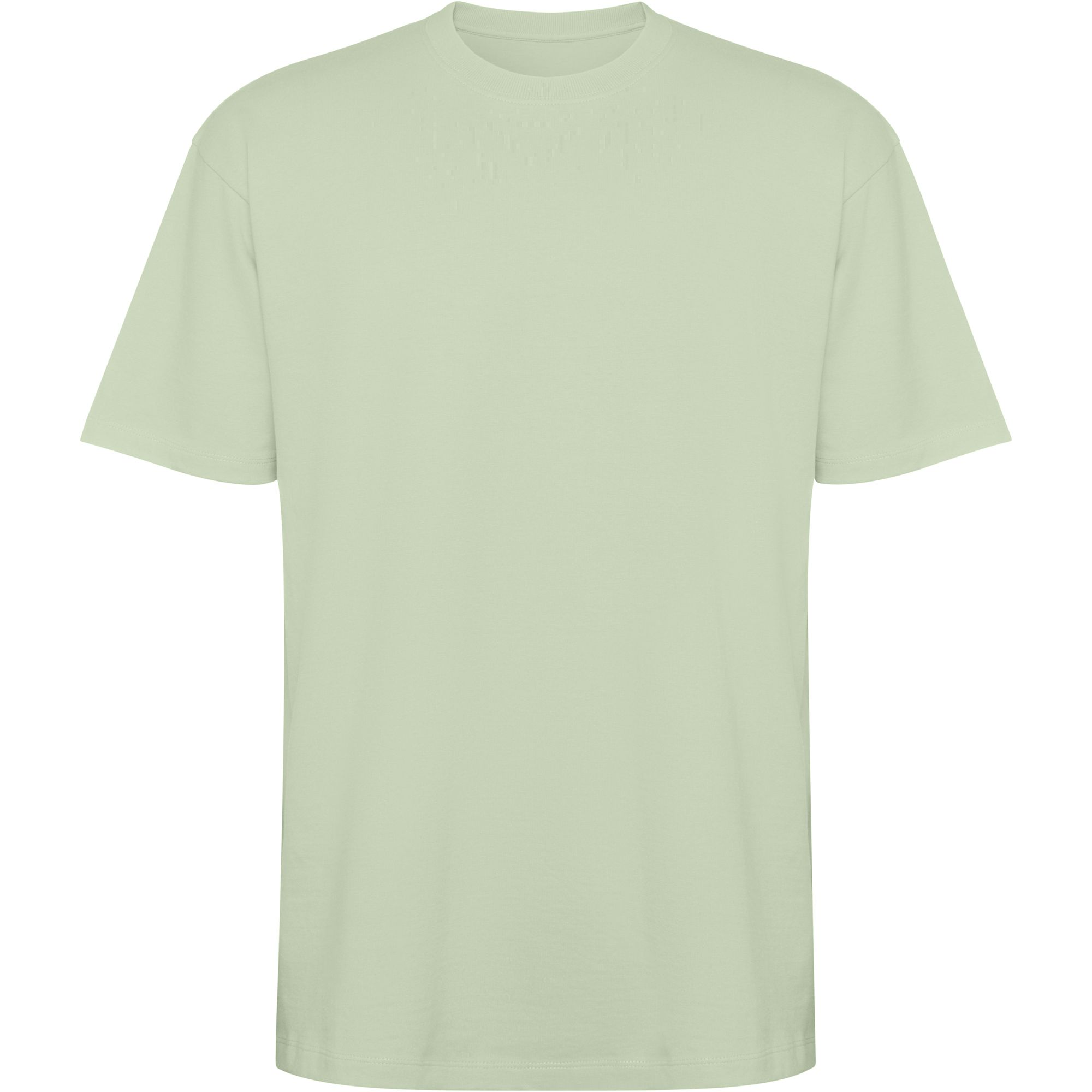 Camiseta unisex oversize Bull 210 g/m² – Roly 11 Camiseta unisex oversize Bull 210 g/m² color verde mist vista frontal